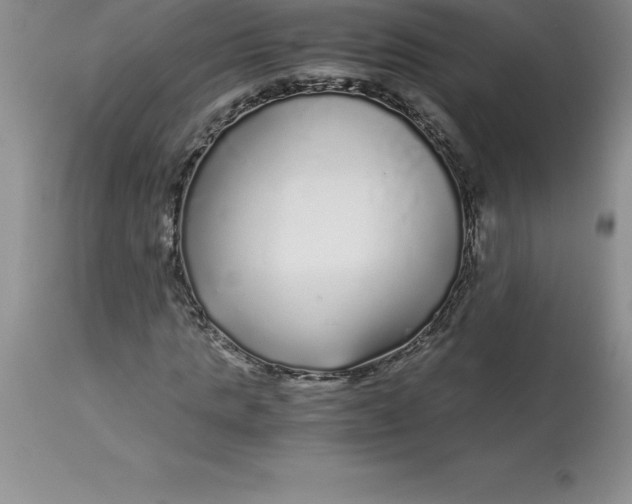 X0000112880821200909181846