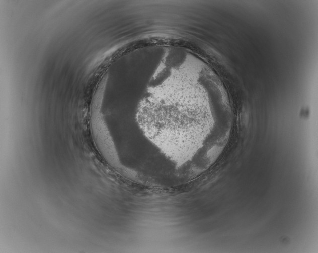 X0000112880822200909181846