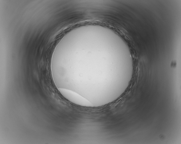 X0000112880824200909181846