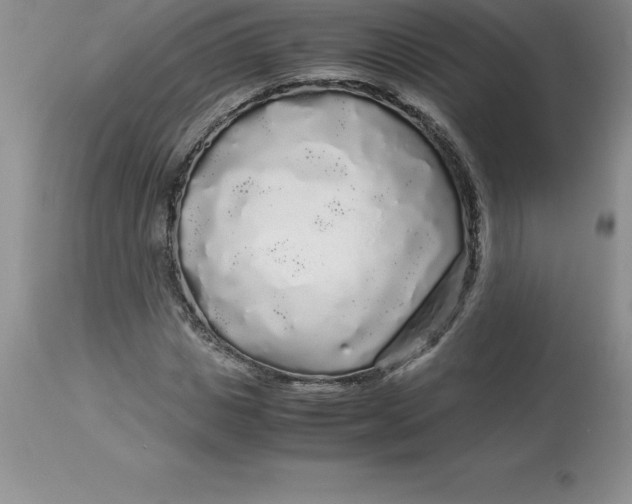 X0000112880825200909181846