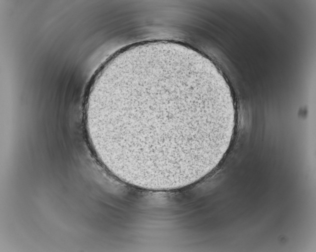 X0000112880828200909181846