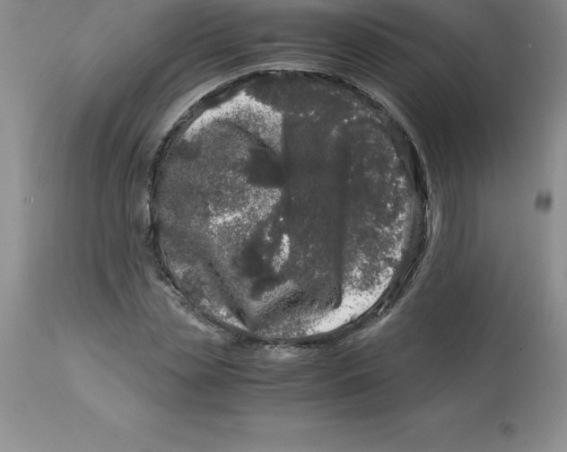 X0000112880829200909181846