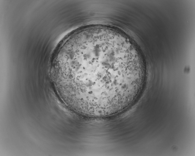 X0000112880830200909181846