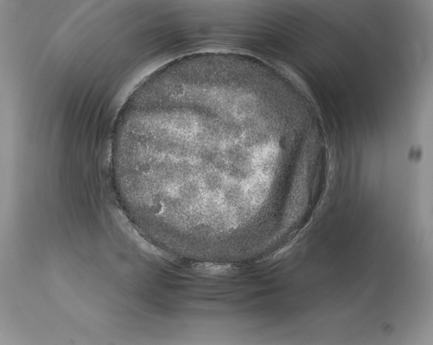 X0000112880831200909181846