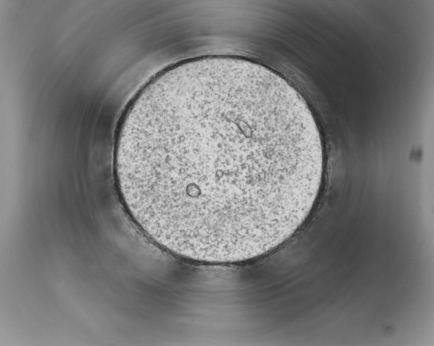 X0000112880836200909181846