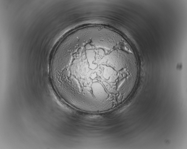 X0000112880837200909181846