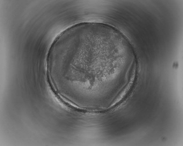 X0000112880840200909181846