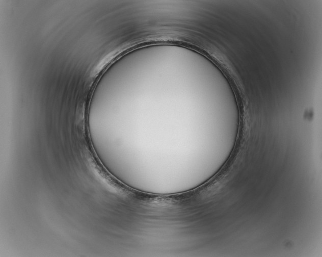 X0000112880842200909181846