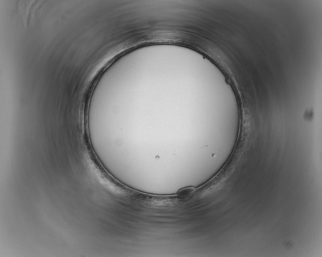 X0000112880843200909181846