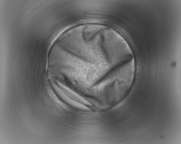 X0000112880844200909181846