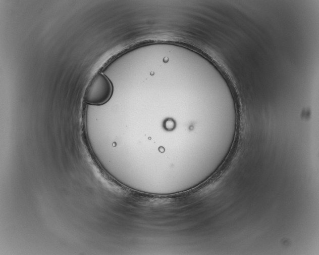 X0000112880845200909181846