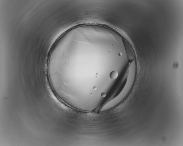 X0000112880847200909181846