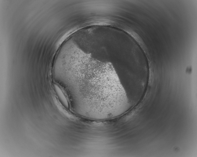 X0000112880850200909181846