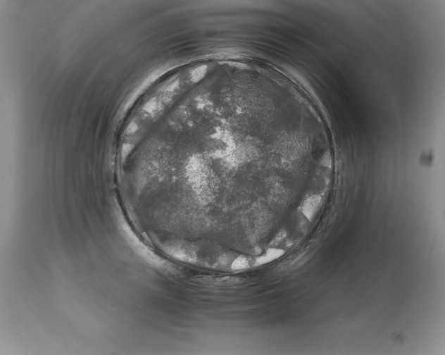 X0000112880851200909181846