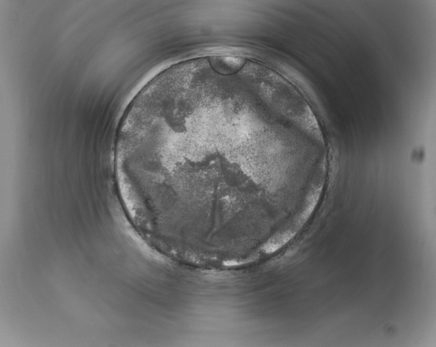 X0000112880852200909181846