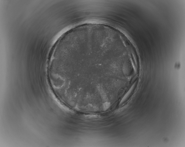 X0000112880853200909181846