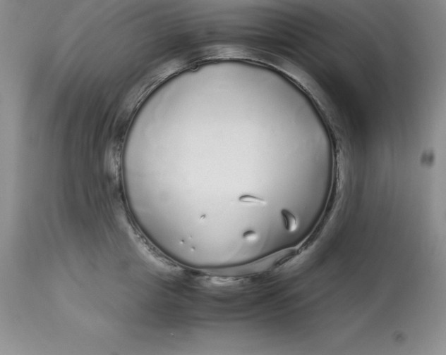 X0000112880857200909181846