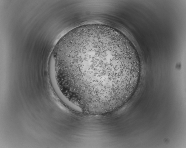 X0000112880858200909181846