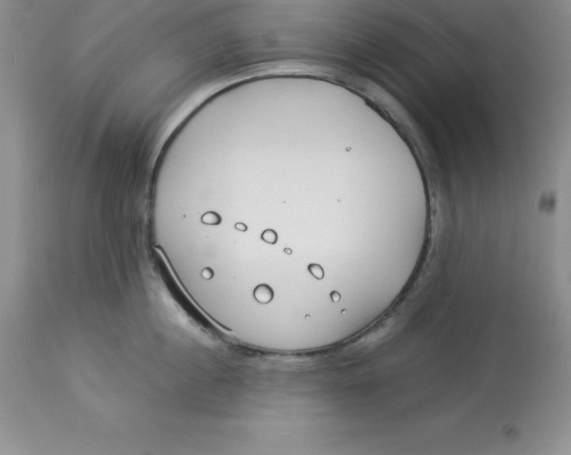 X0000112880860200909181847