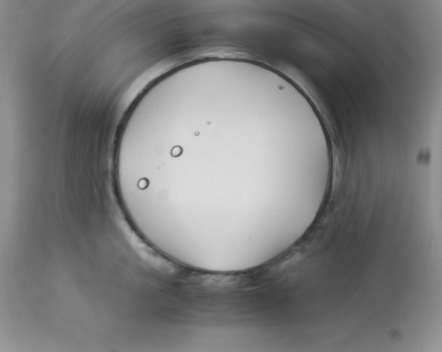 X0000112880861200909181847