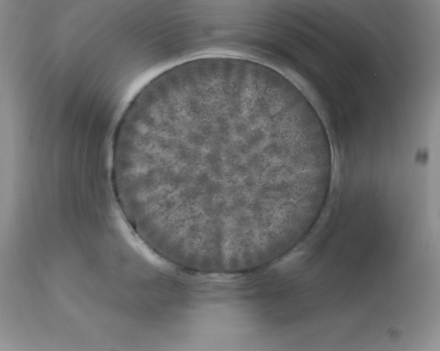 X0000112880862200909181847