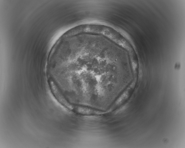 X0000112880863200909181847