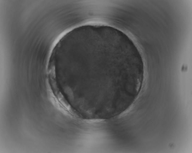 X0000112880864200909181847