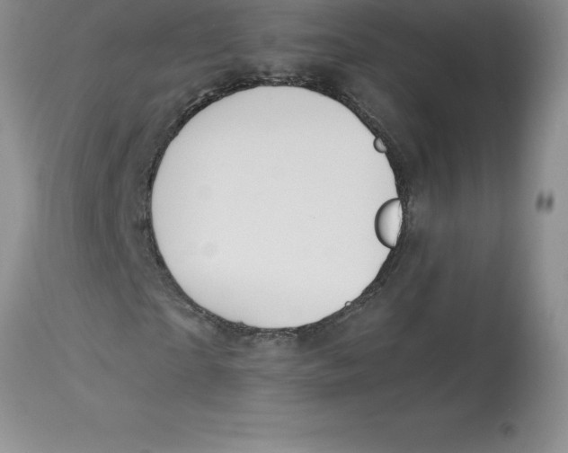 X0000112880865200909181846