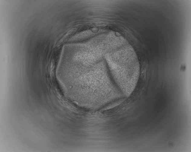 X0000112880866200909181846