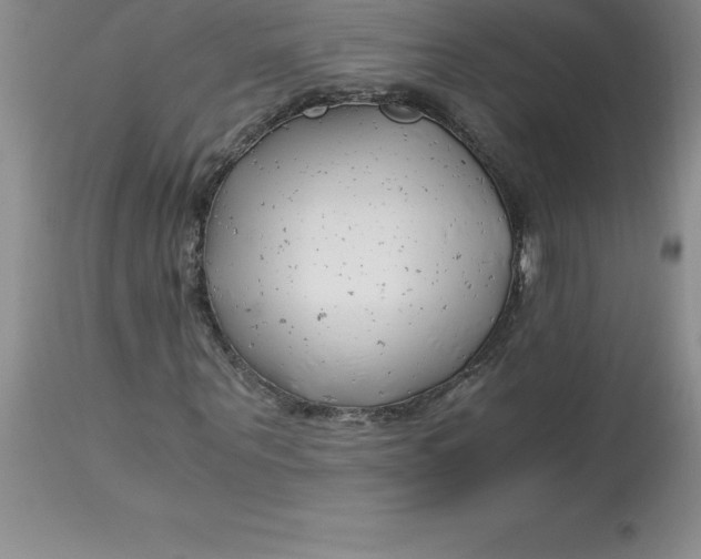 X0000112880867200909181846