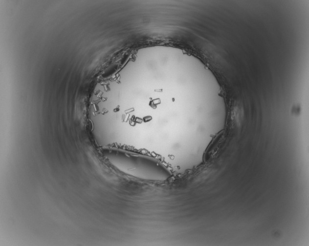 X0000112880868200909181846