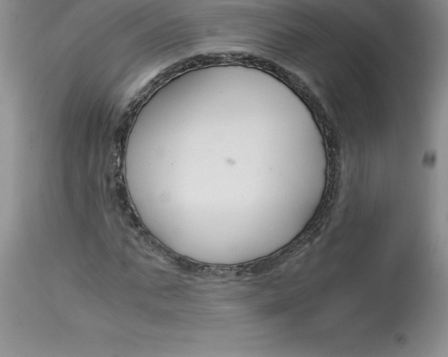 X0000112880871200909181846