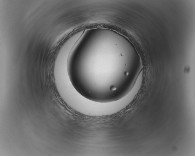 X0000112880872200909181846