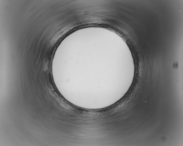 X0000112880873200909181846