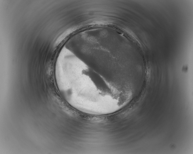 X0000112880874200909181846