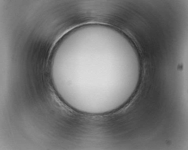 X0000112880876200909181846