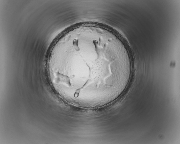 X0000112880879200909181846