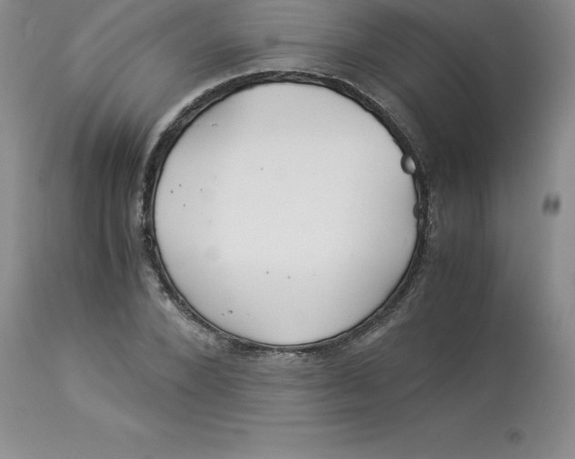 X0000112880880200909181846