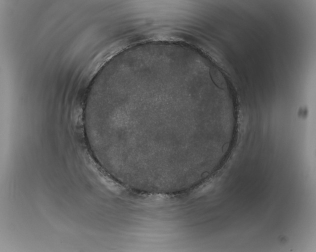 X0000112880881200909181846