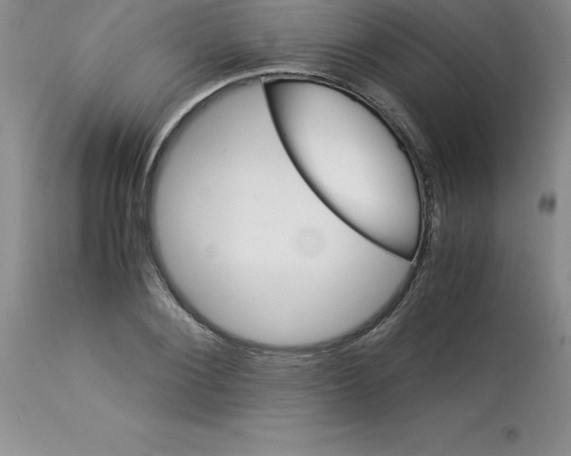 X0000112880884200909181846