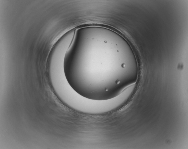 X0000112880885200909181846