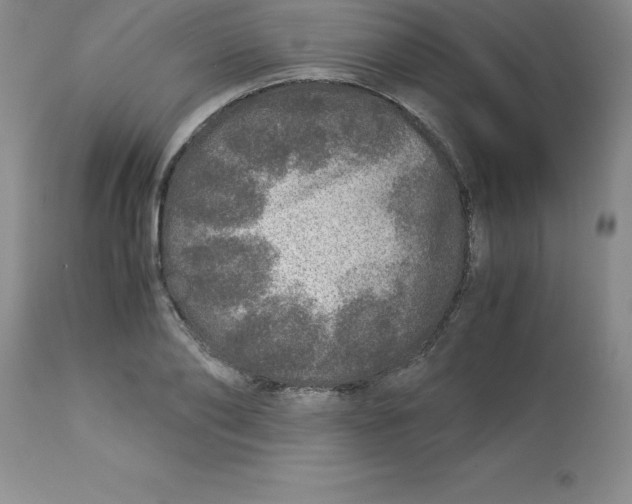 X0000112880886200909181846