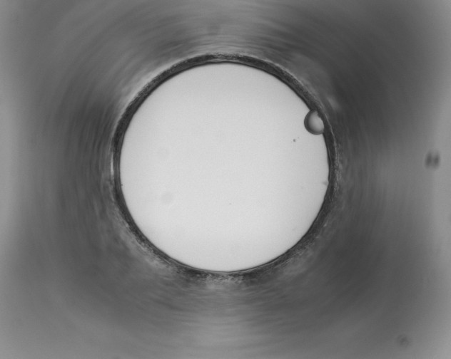 X0000112880887200909181846