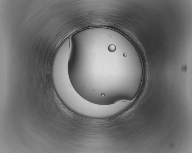 X0000112880889200909181846