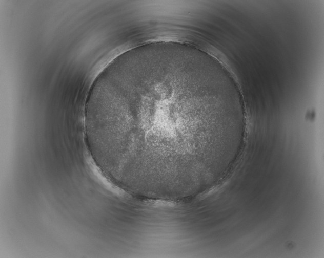 X0000112880890200909181846