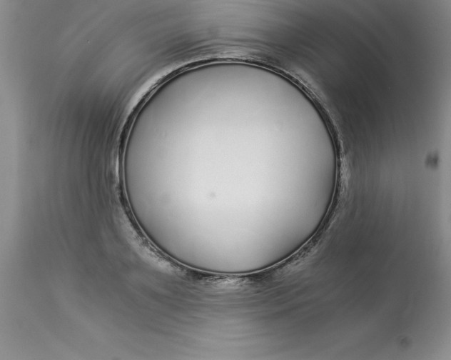 X0000112880891200909181846