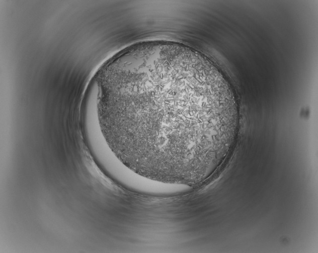 X0000112880892200909181846