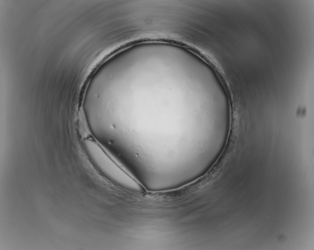 X0000112880895200909181846