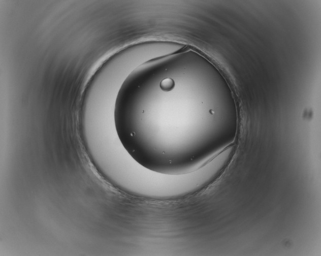 X0000112880896200909181845