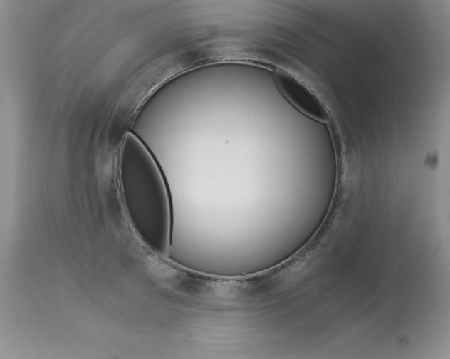 X0000112880897200909181845